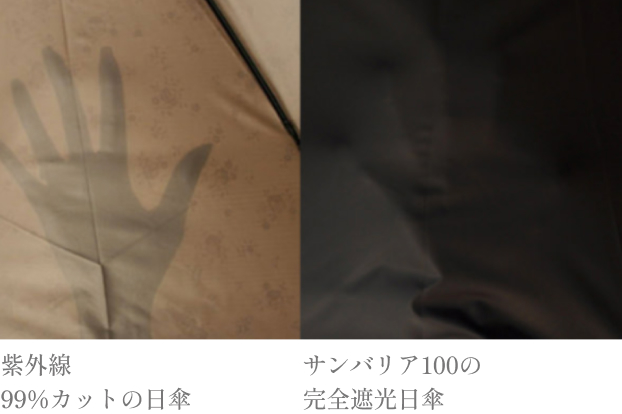 の写真