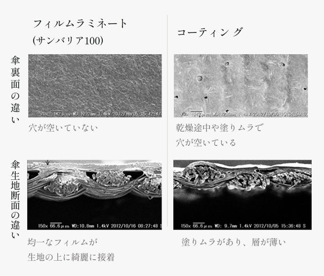 の写真