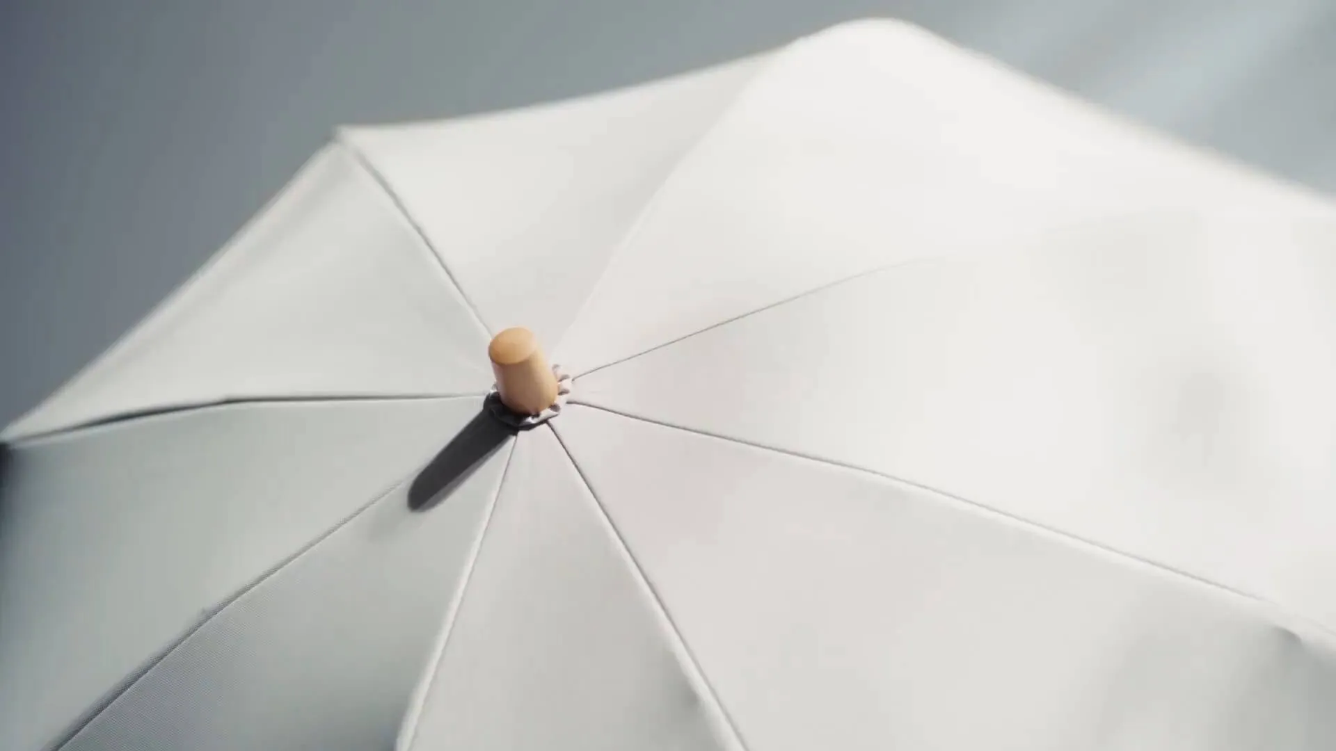 完全に遮光する日傘