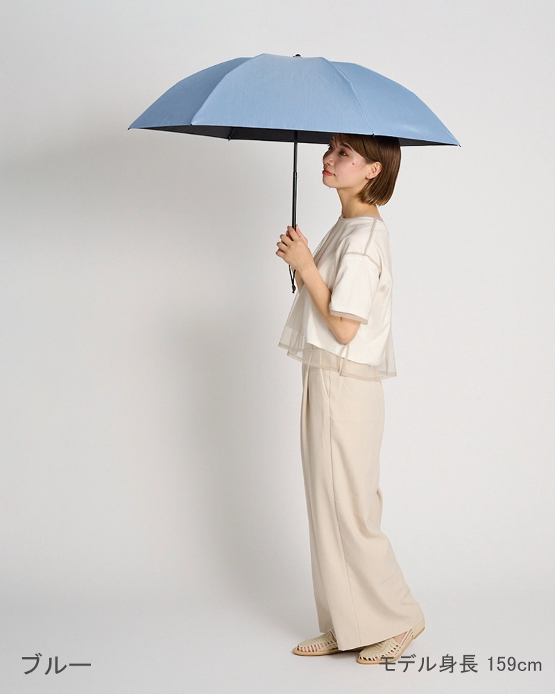 ３段折 / フロスト