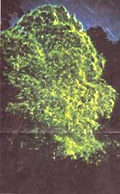 20010509