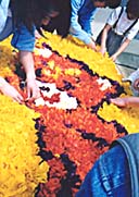 20020426