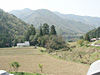 20040419