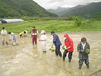 20040522