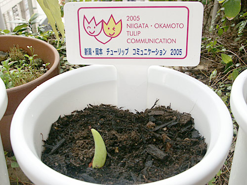 20050307