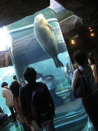 20051003