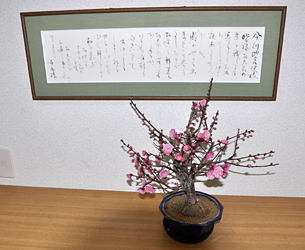 20110126