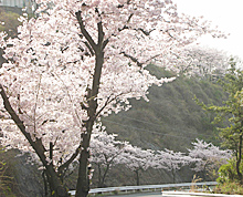 20110411