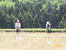 20110516