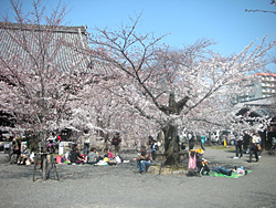 20120409