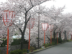 20120410