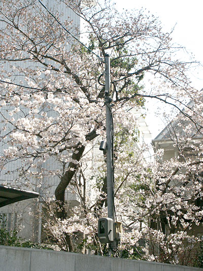 20050405