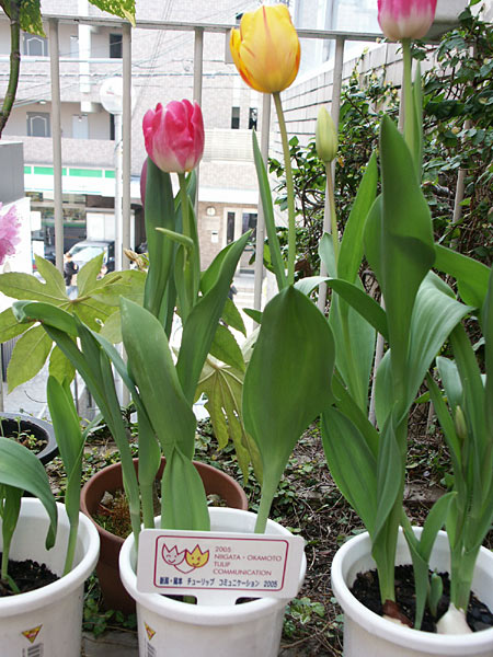 20050414