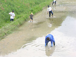 20050529