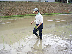 20050609