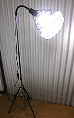 20060205