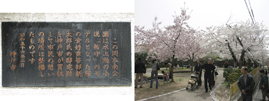 20060408