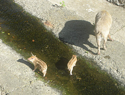20071103