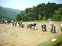 20120527