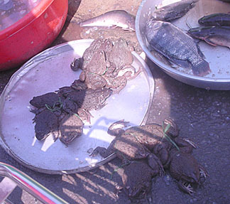 20120629